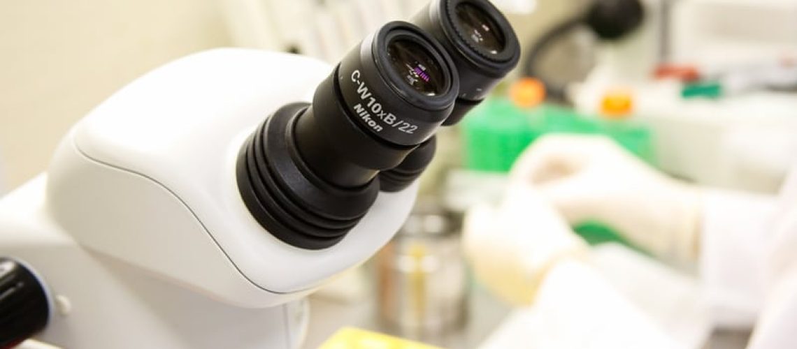 20191001_00_laboratorio_pesquisa_morfo_fisiologia_molecular_fzea.jpg 20191001_00_laboratorio_pesquisa_morfo_fisiologia_molecular_fzea.jpg